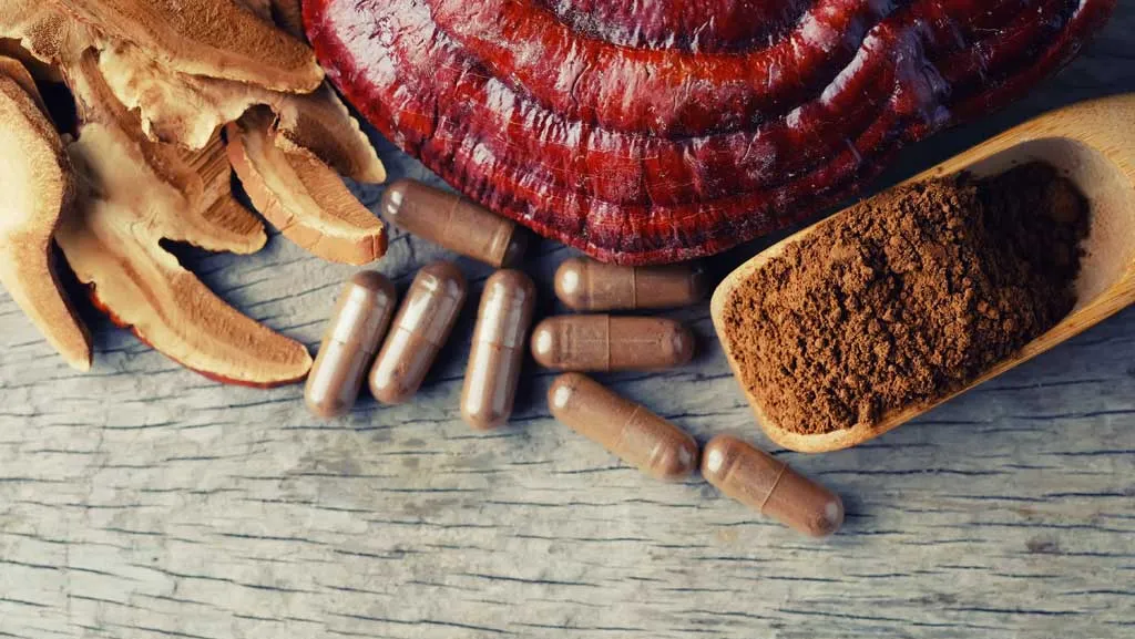 Buyer’s Guide: How to Choose the Best Mushroom Supplement