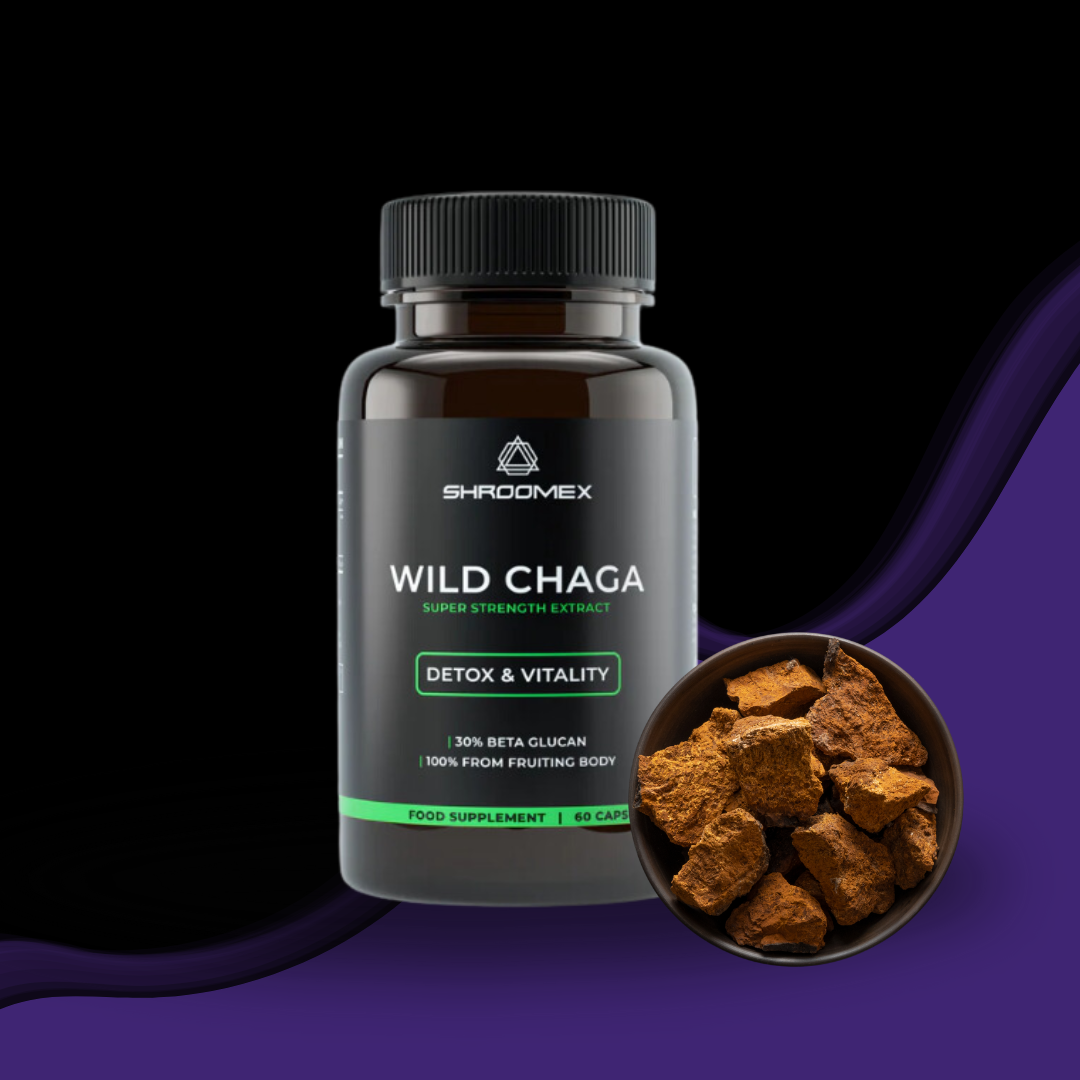 Chaga Mushroom Capsules
