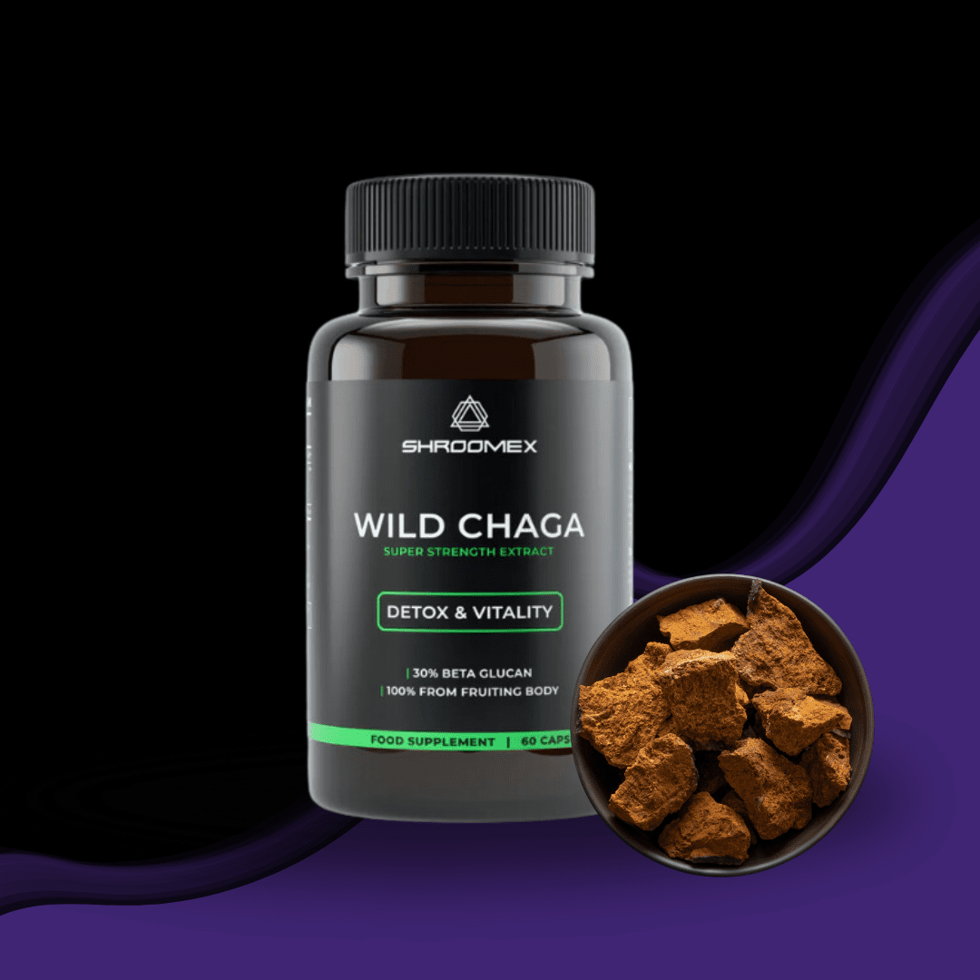 Chaga Mushroom Capsules