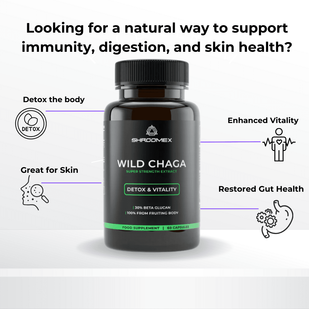 Chaga Mushroom Capsules