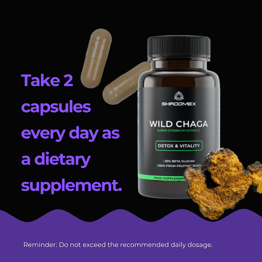 Chaga Mushroom Capsules