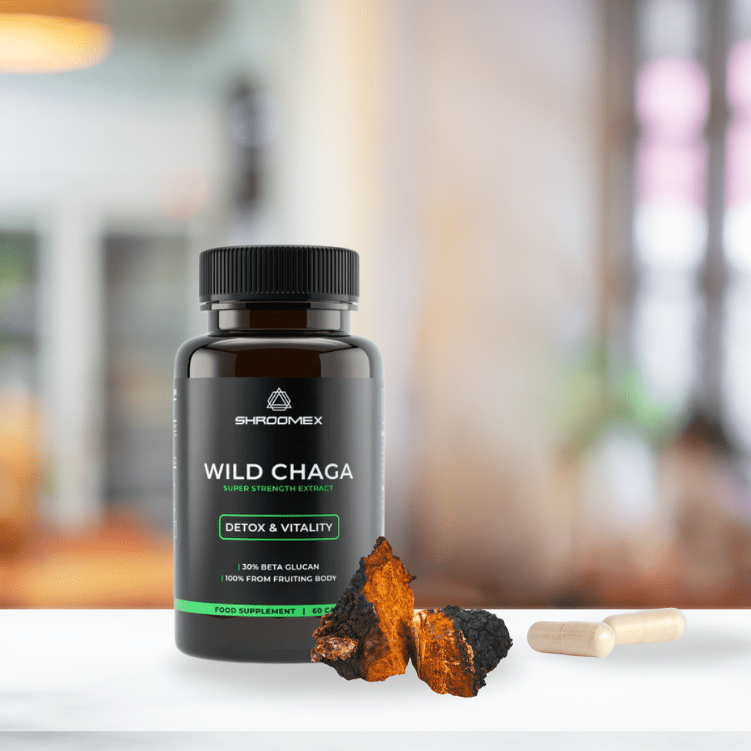 Chaga Mushroom Capsules