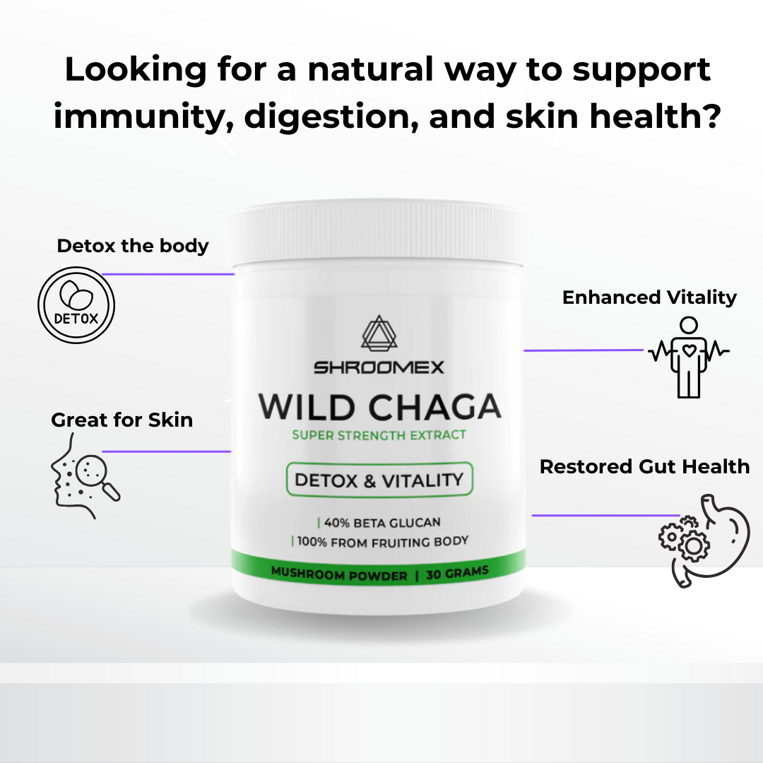 Chaga Mushroom Powder