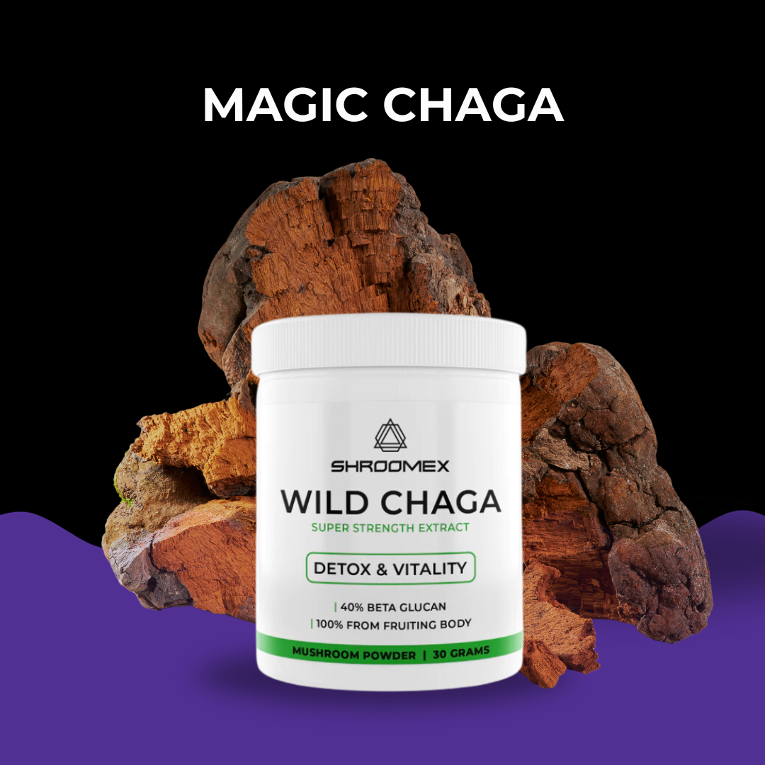 Chaga Mushroom Powder