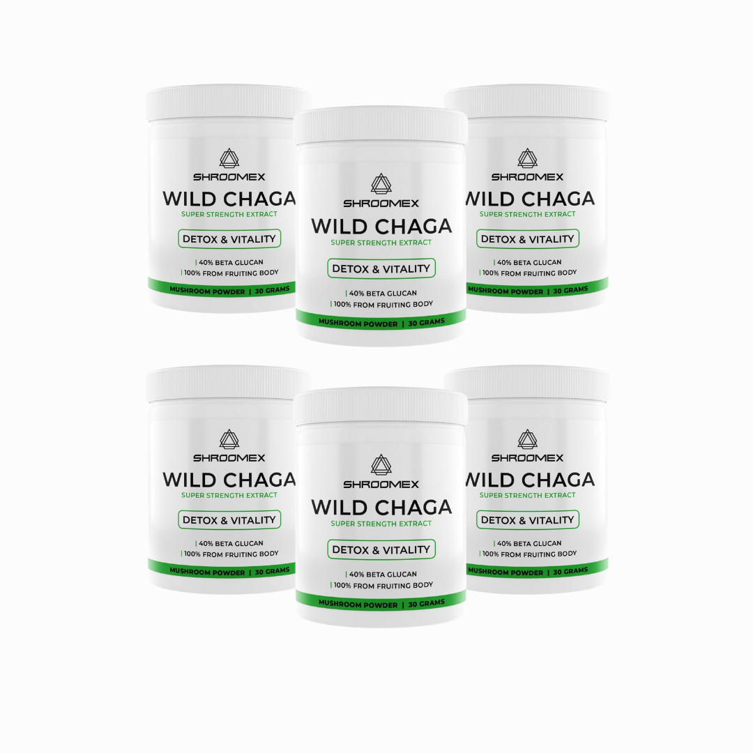 Chaga Mushroom Powder