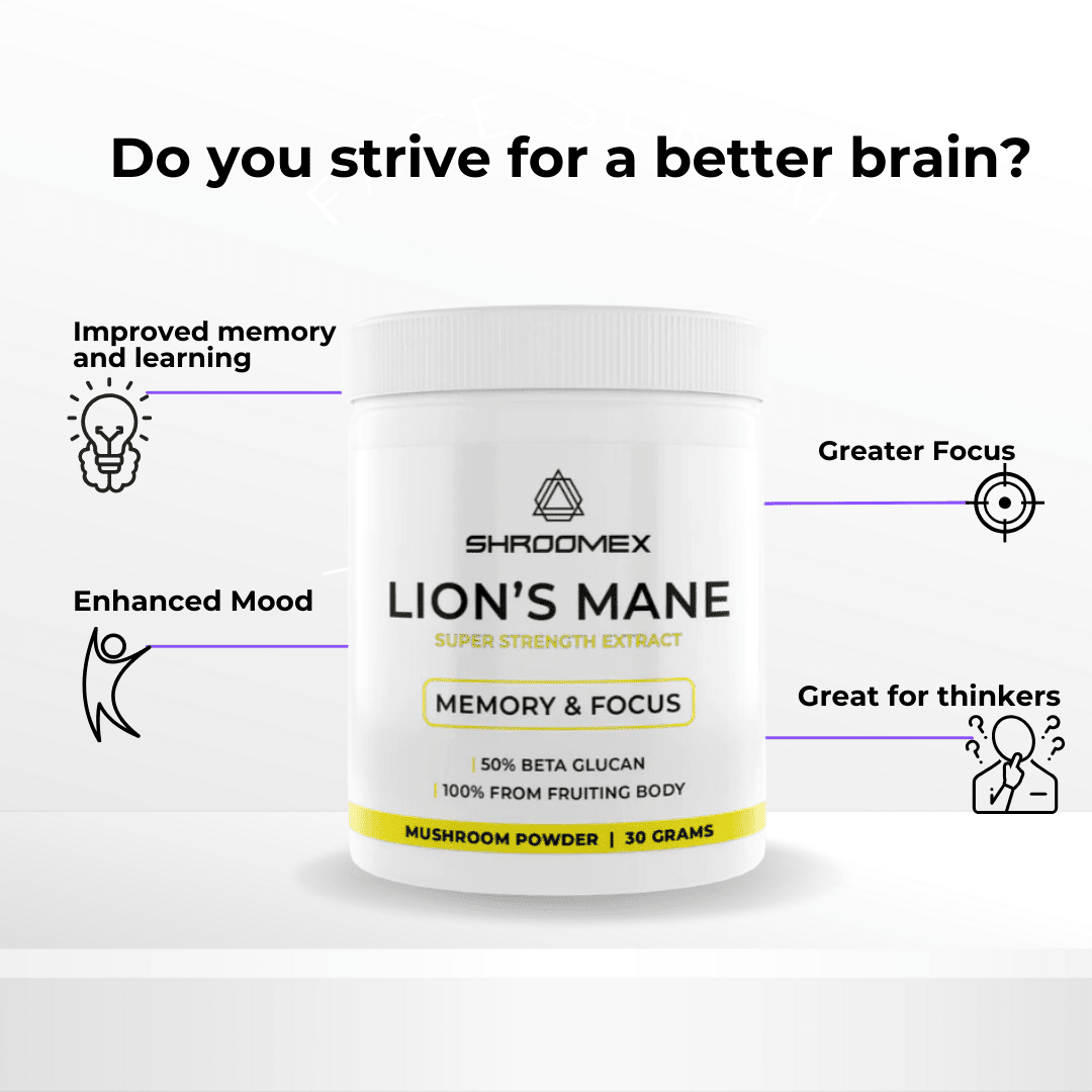 Lion's Mane Mushroom Powder