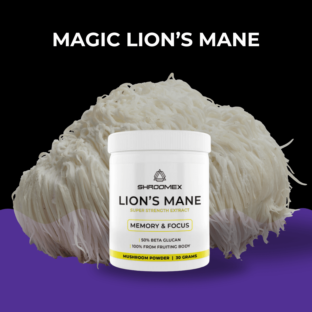 Lion's Mane Mushroom Powder