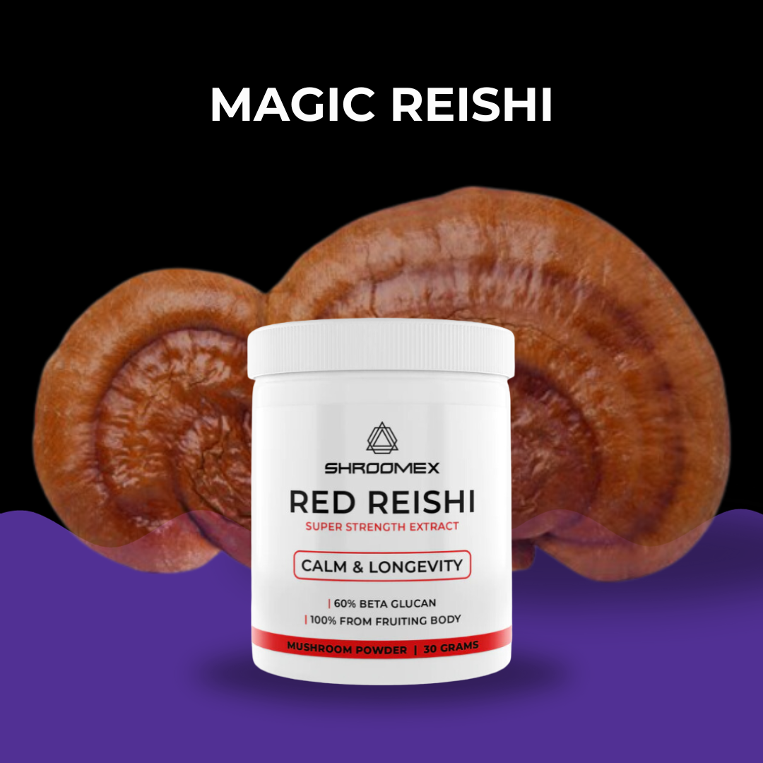 Reishi Mushroom Powder