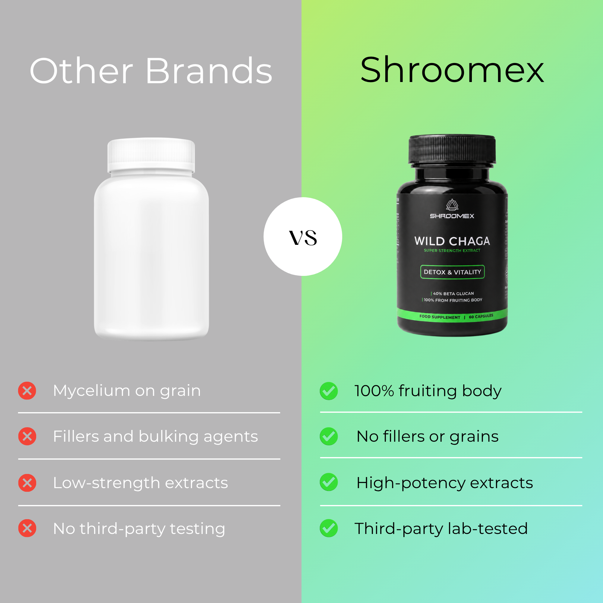 Chaga Mushroom Capsules