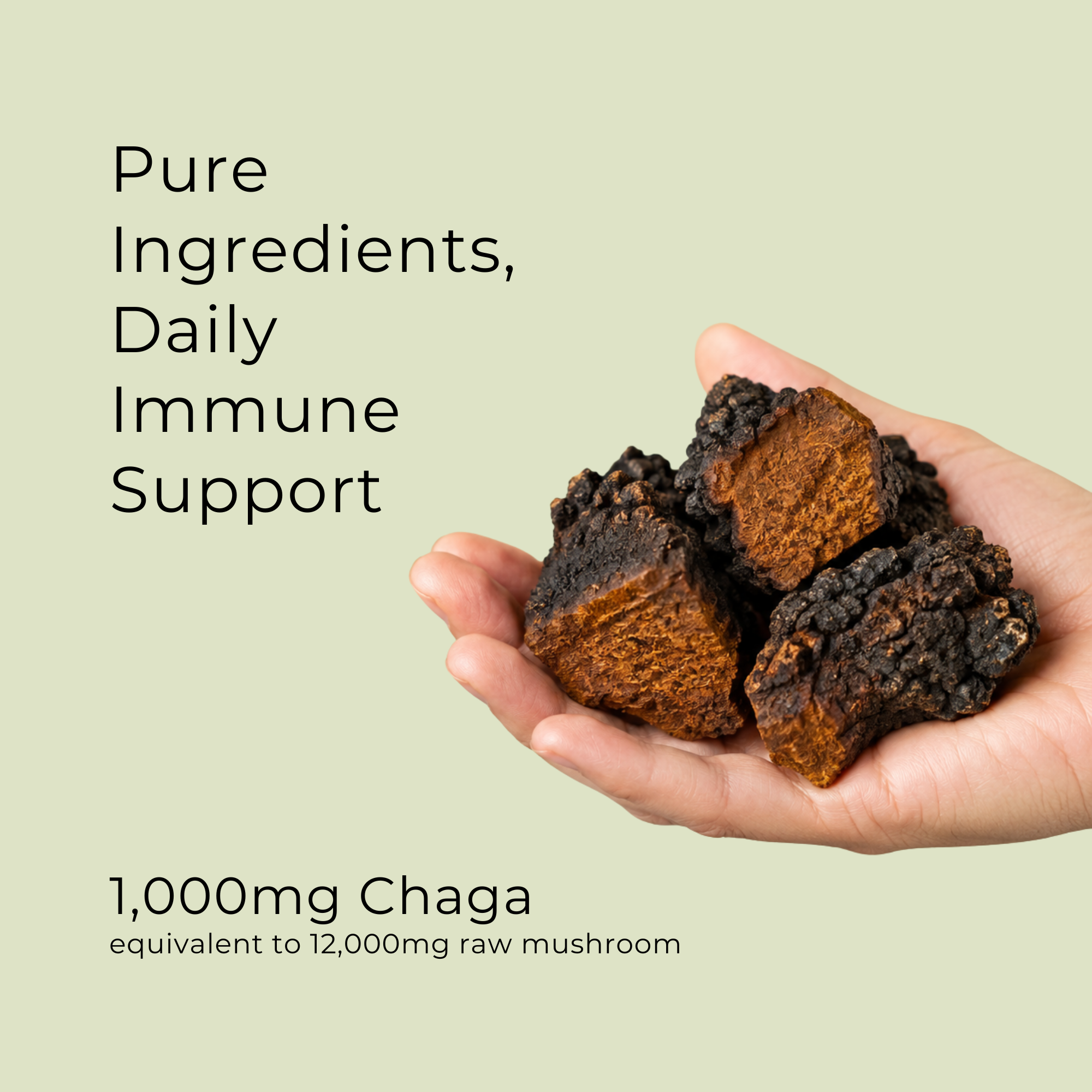 Chaga Mushroom Capsules