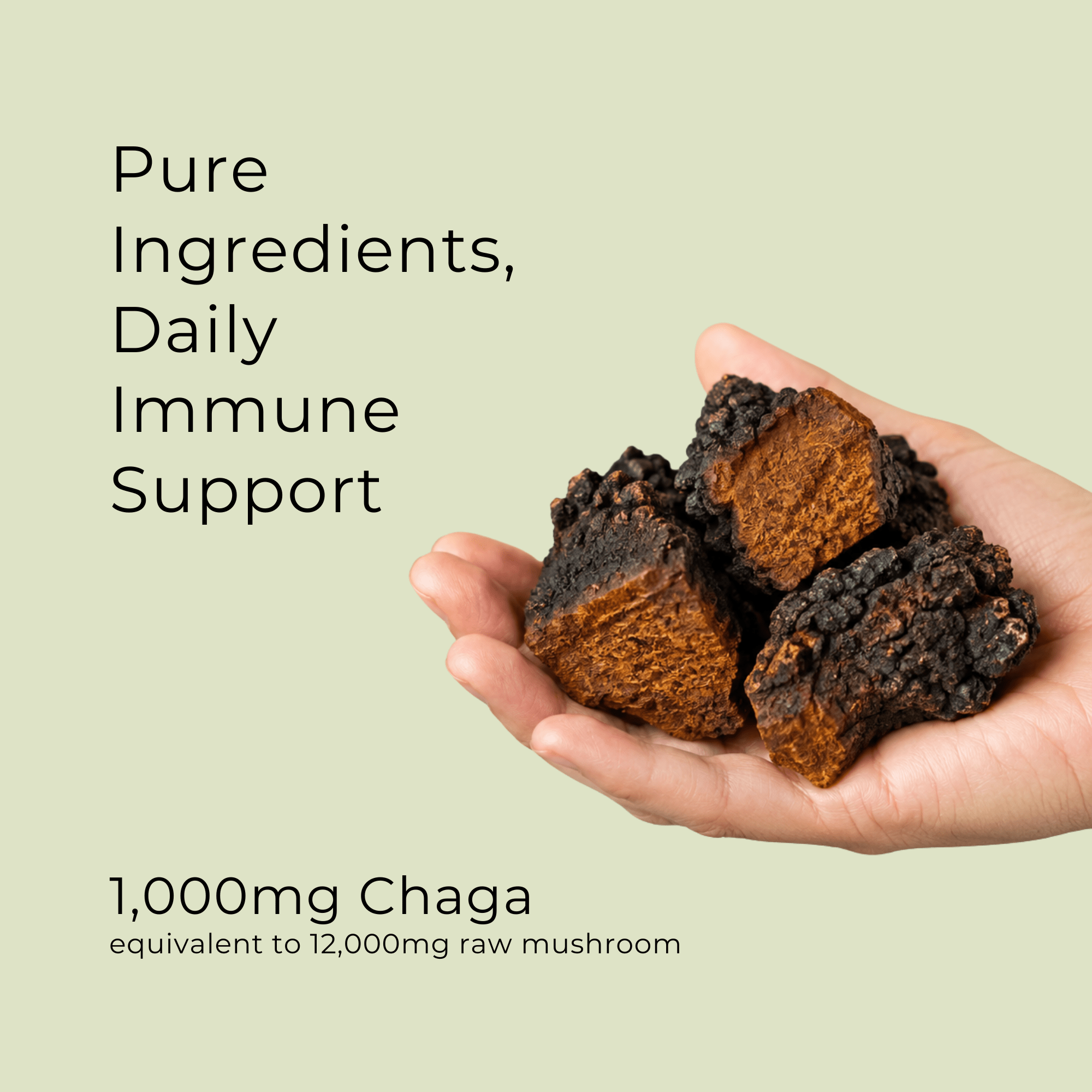 Chaga Mushroom Capsules