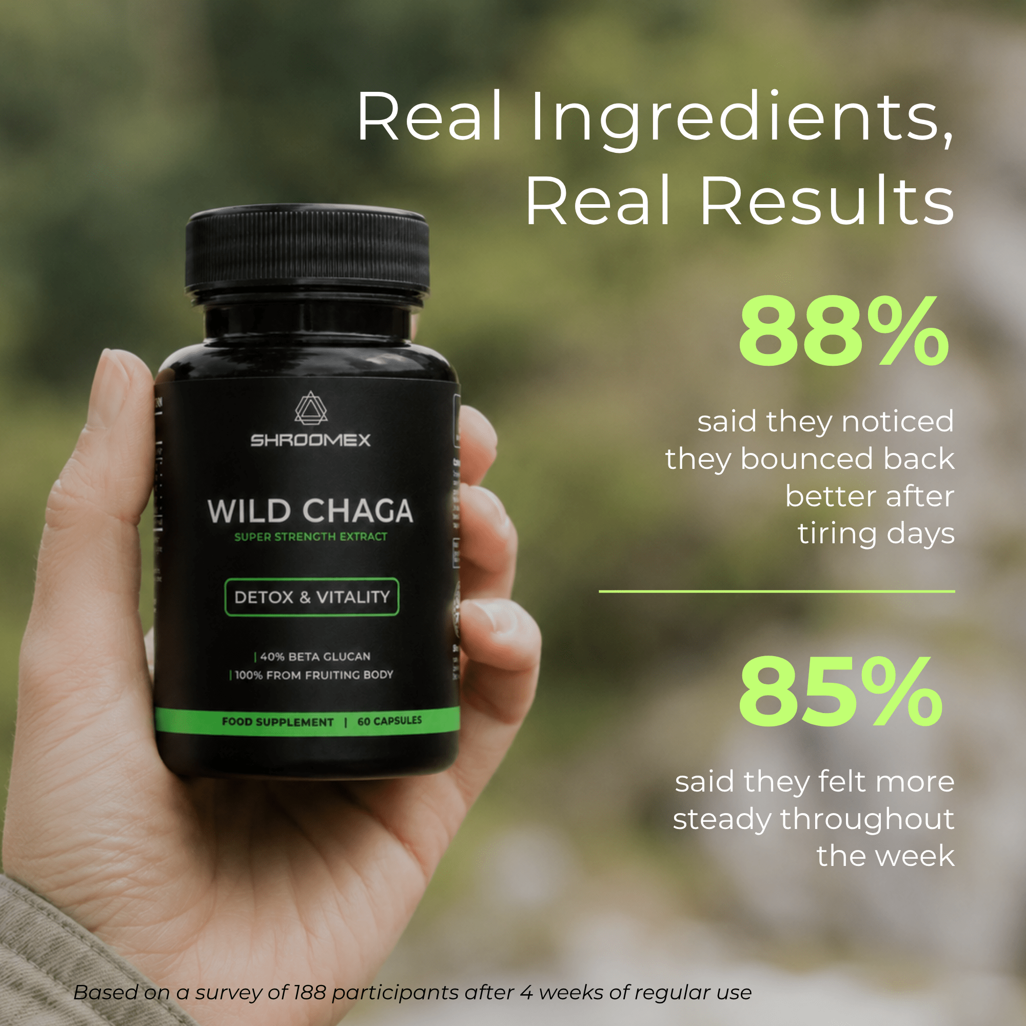Chaga Mushroom Capsules