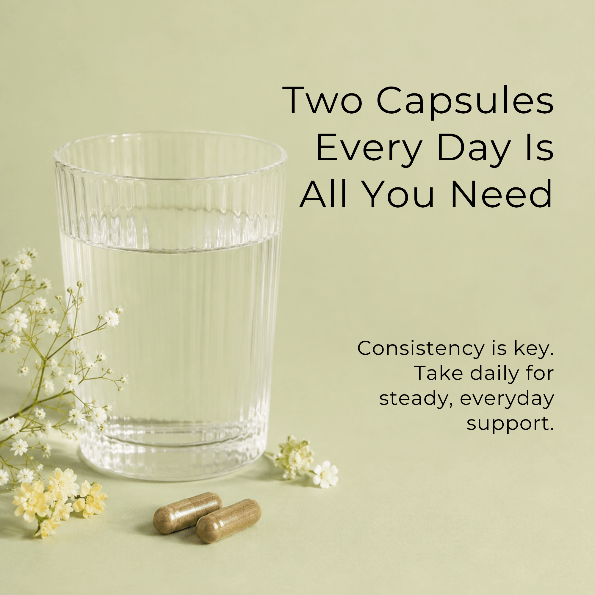 Chaga Mushroom Capsules
