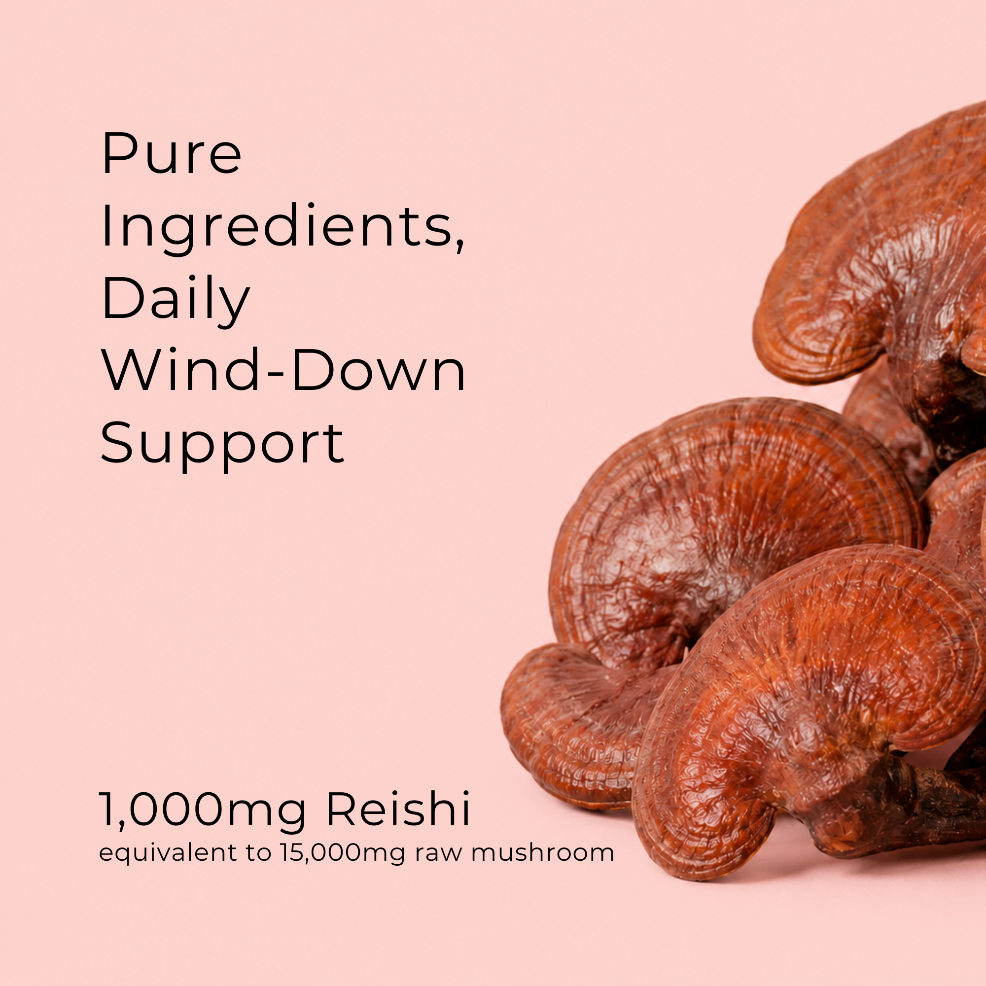 Reishi Mushroom Capsules