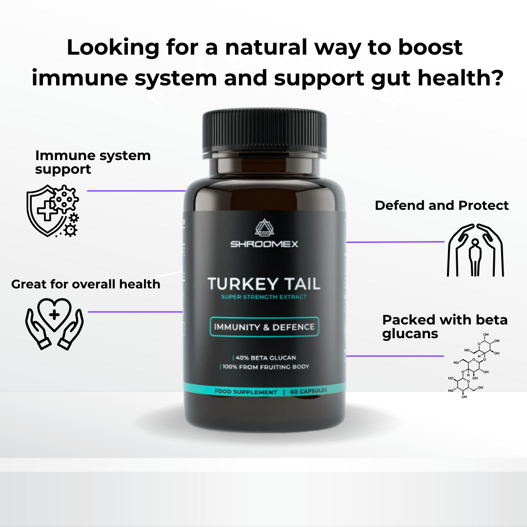 Turkey Tail Mushroom Capsules