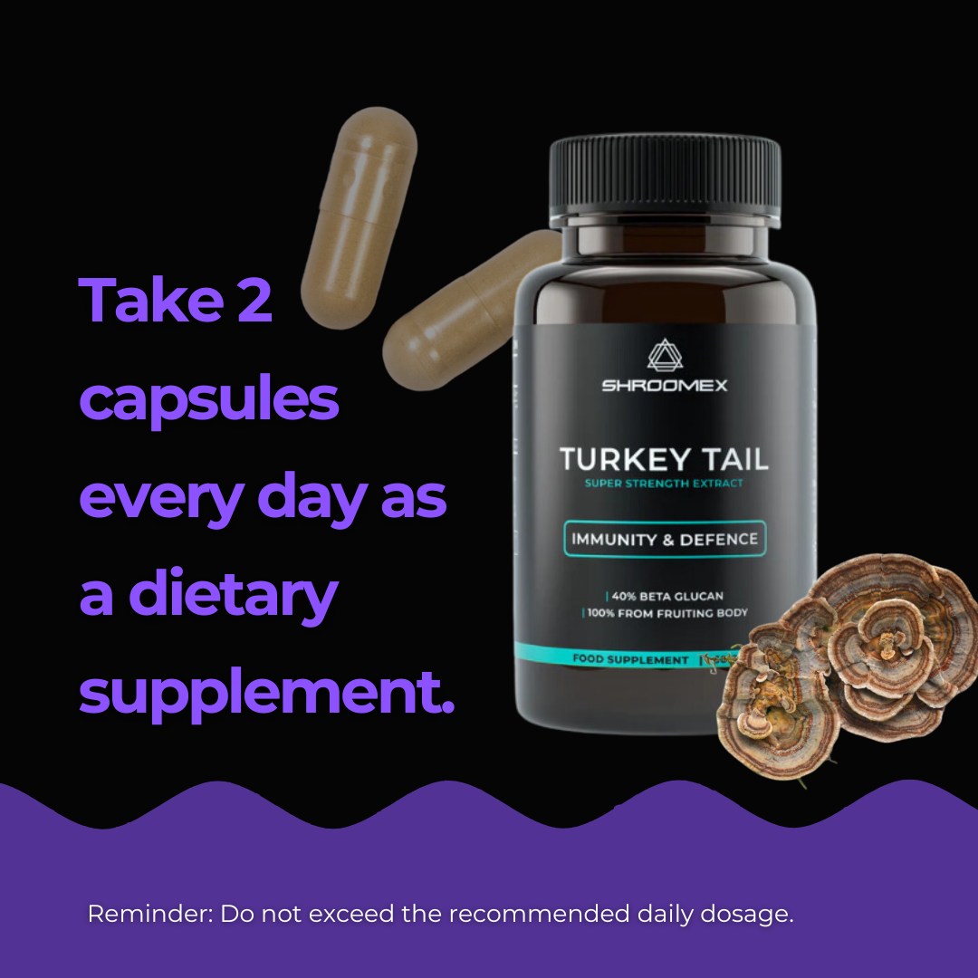 Turkey Tail Mushroom Capsules