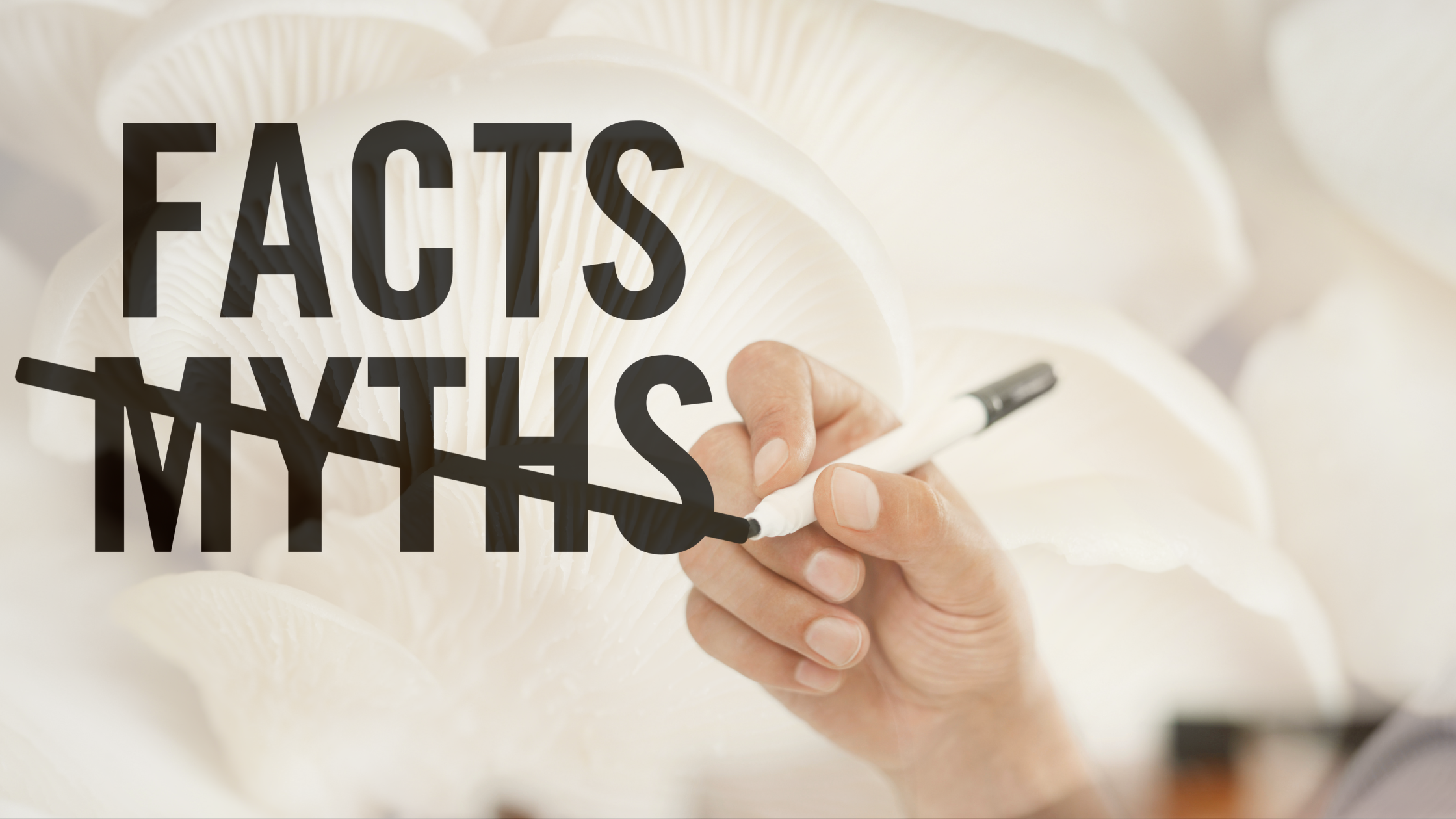 Mushroom Supplements: Myths vs. Reality
