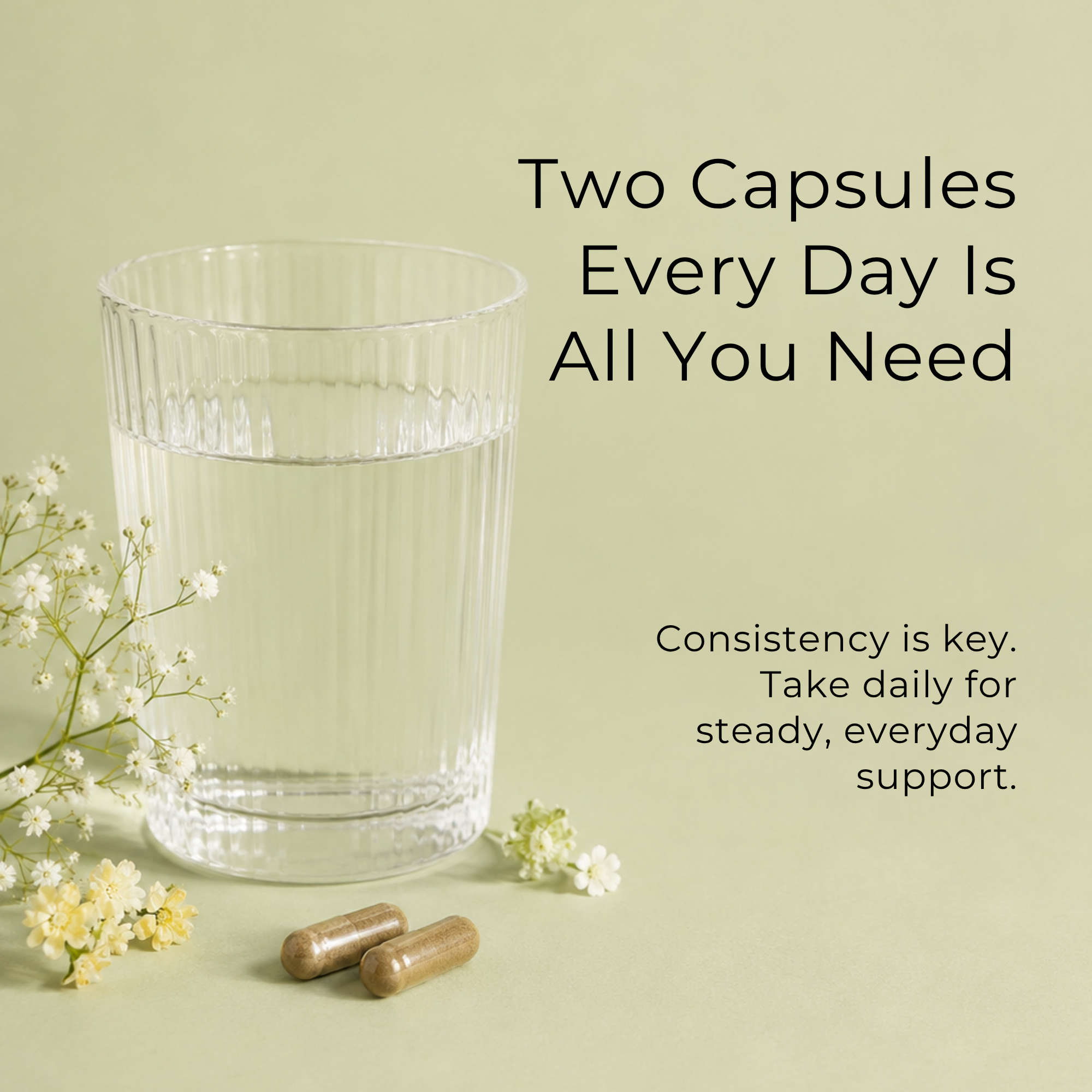 Chaga Mushroom Capsules