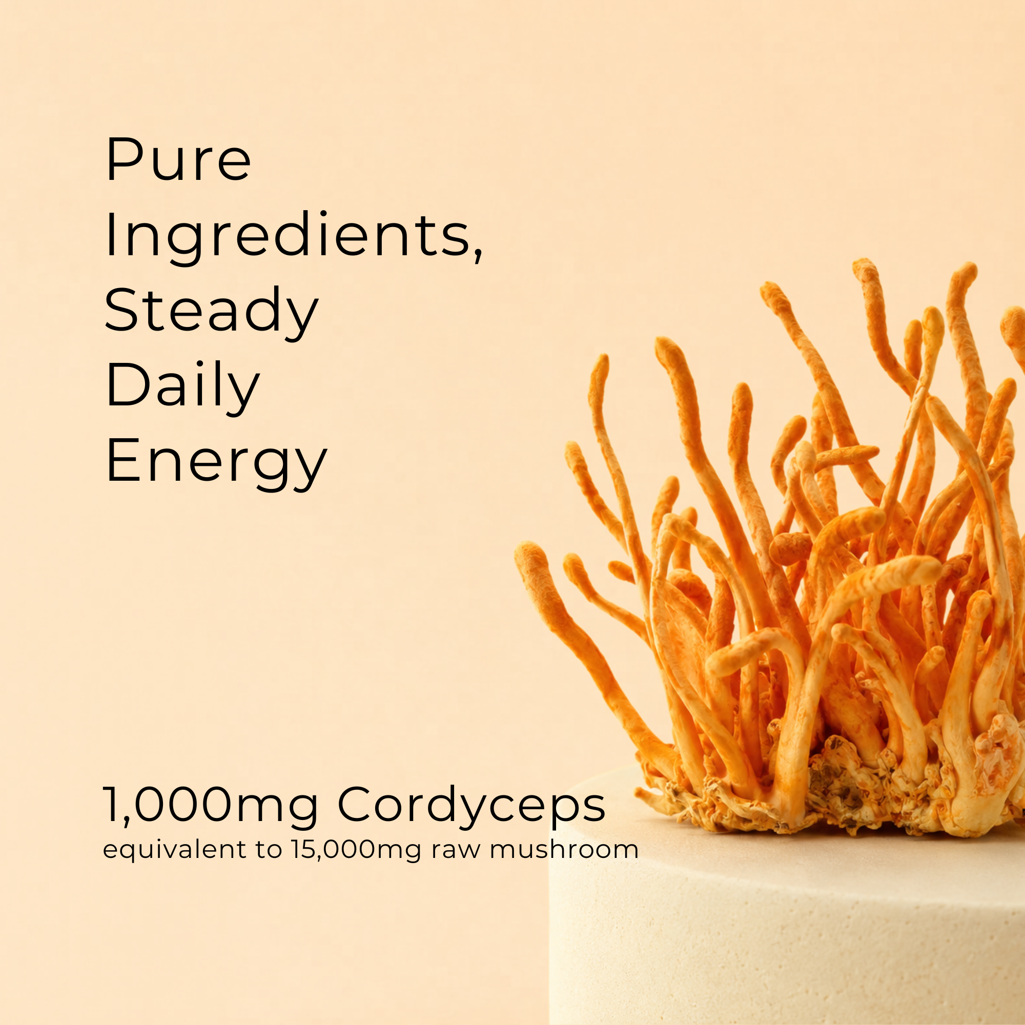 Cordyceps Mushroom Capsules