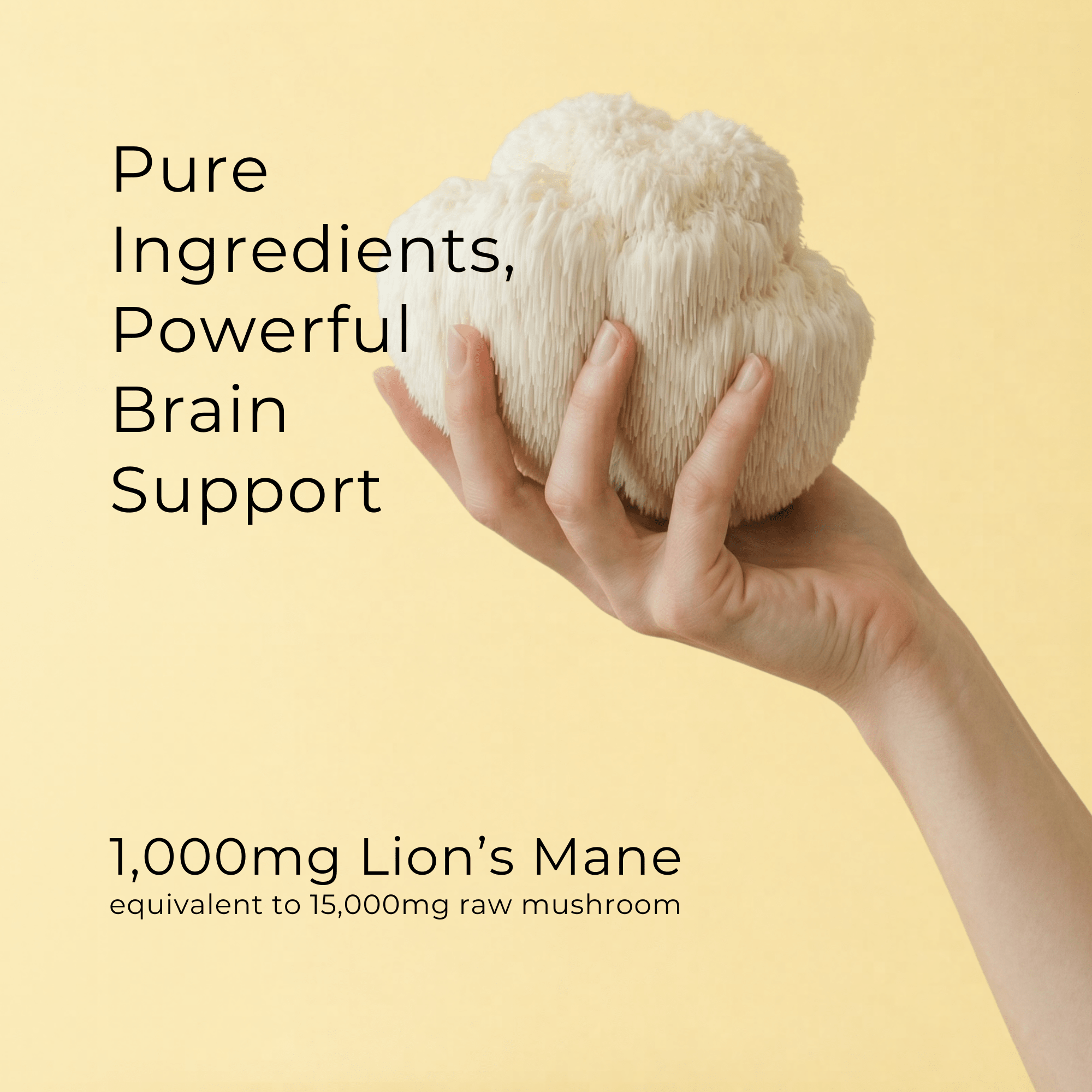 Lion's Mane Mushroom Capsules