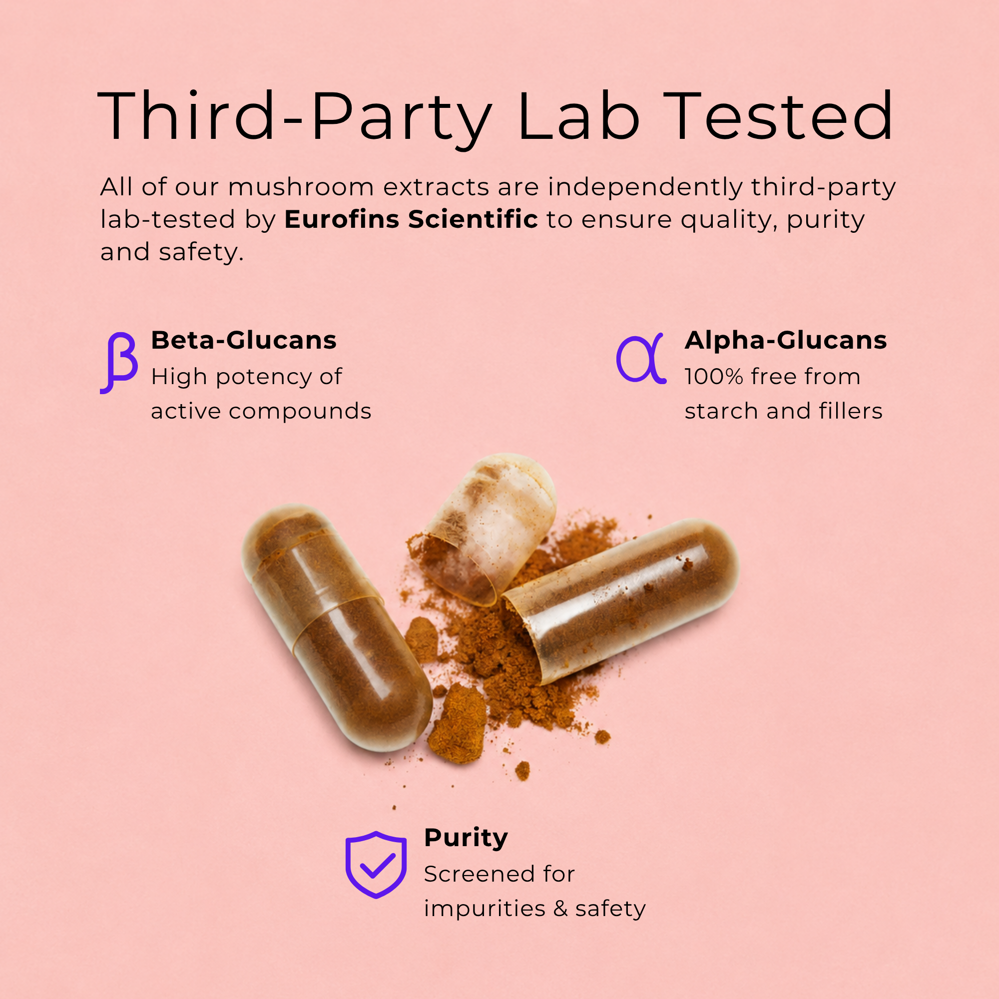 Reishi Mushroom Capsules
